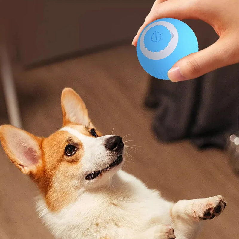 USB elétrico recarregável rolamento brinquedo para gatos e cães